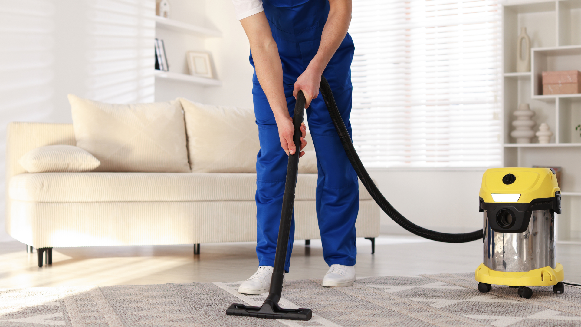 Person cleaning a carpet with an industrial cleaning machine in a room with a sofa and a potted plant.