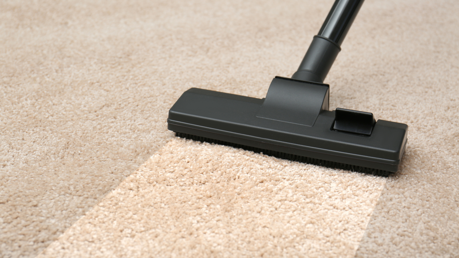 Vacuum cleaner cleaning tan carpet, leaving a clean path.