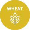 icon allergens Wheat