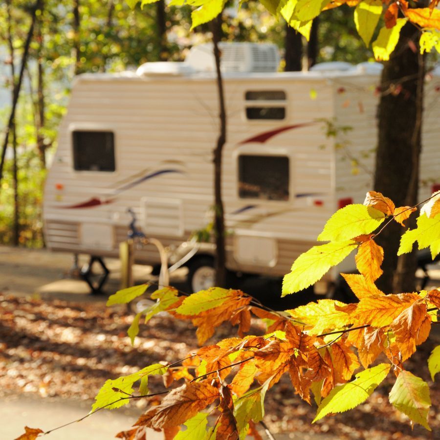 RV parked in a wooded campsite, autumn leaves in foreground, trees surrounding.
