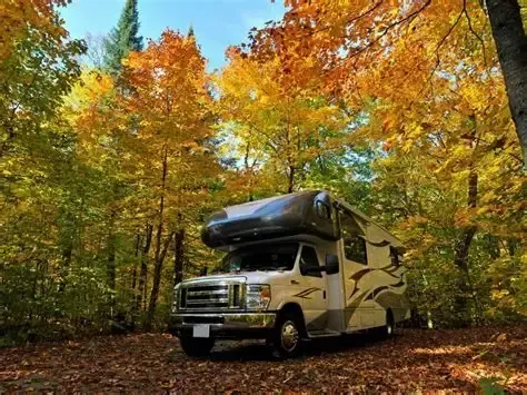 RV parked in a forest of vibrant yellow and orange autumn foliage.