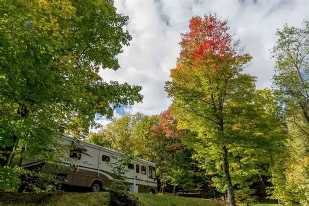 RV parked amongst trees with autumn foliage.