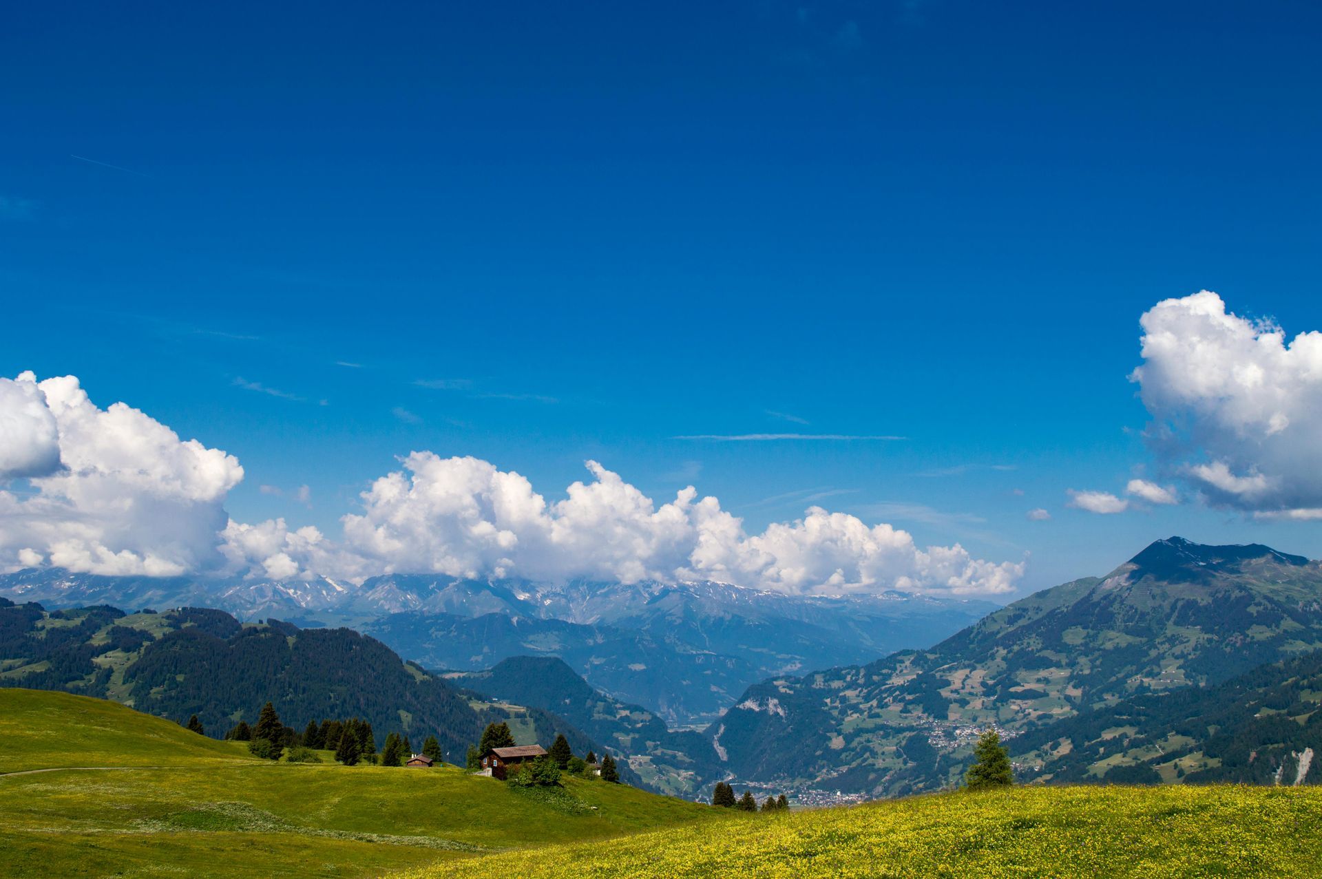 Sunny mountain landscape with green meadow, distant hills, and bright blue sky with fluffy clouds