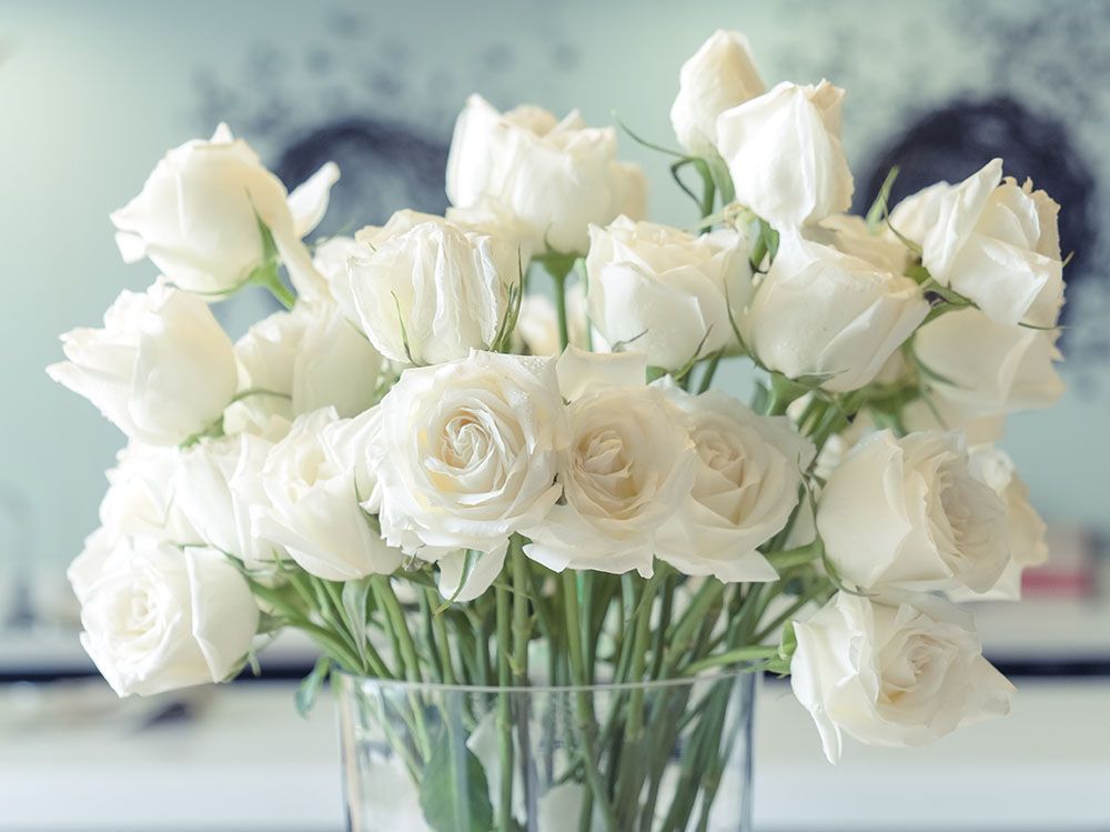 Send Flowers