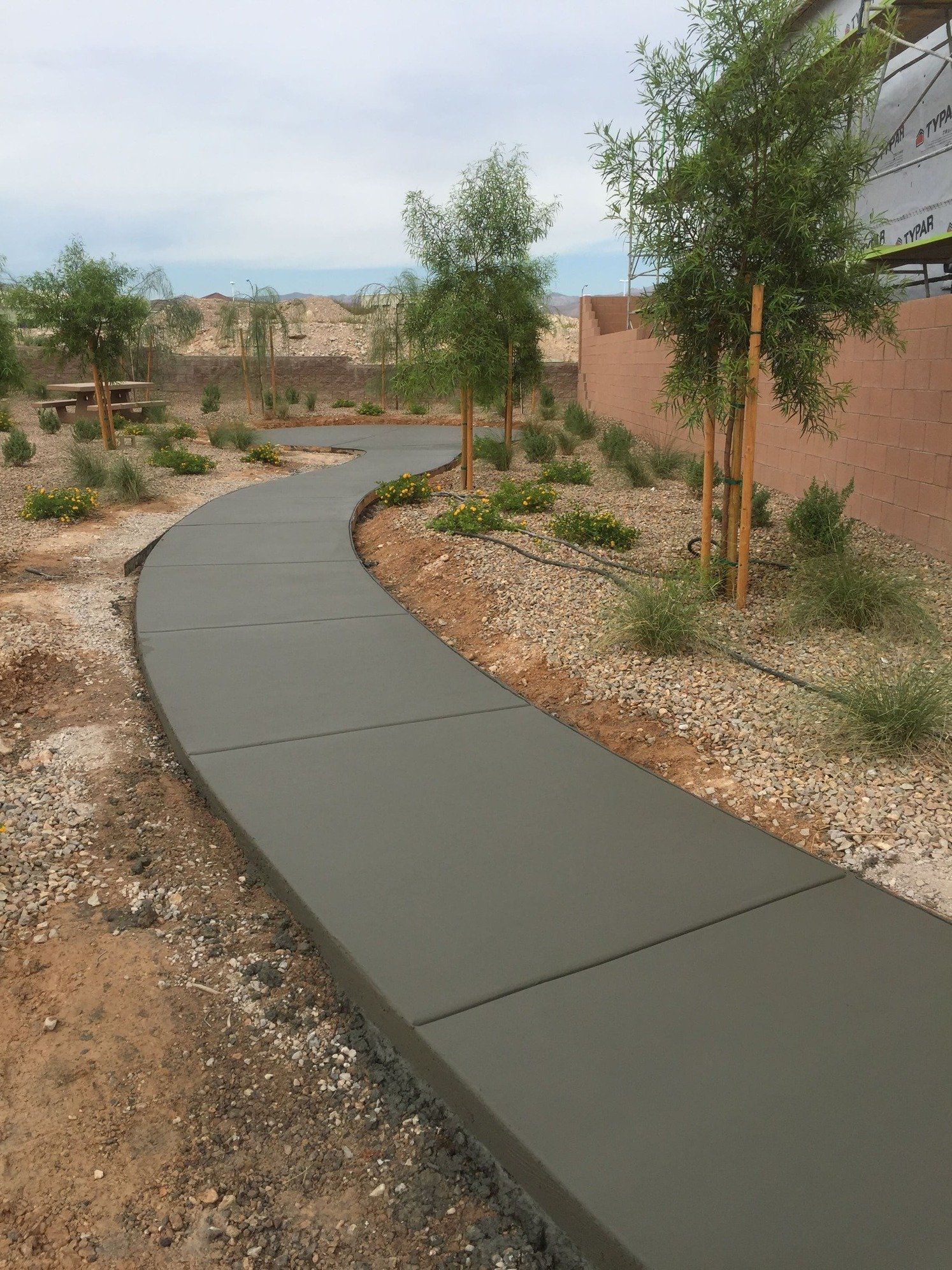 Curving concrete sidewalk through a landscaped yard with small trees and gravel.