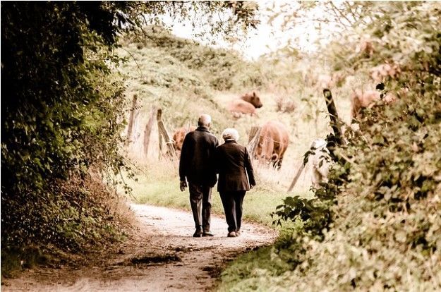 Elderly couple walking hand-in-hand on a dirt path, surrounded by greenery, with cows grazing in the background.