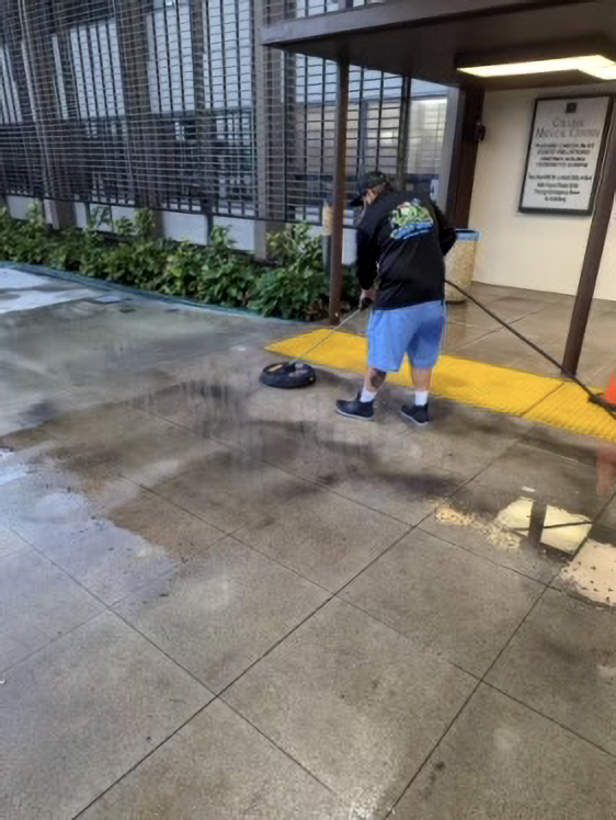 Person mopping wet sidewalk outside a building entrance beside a yellow curb and potted plants