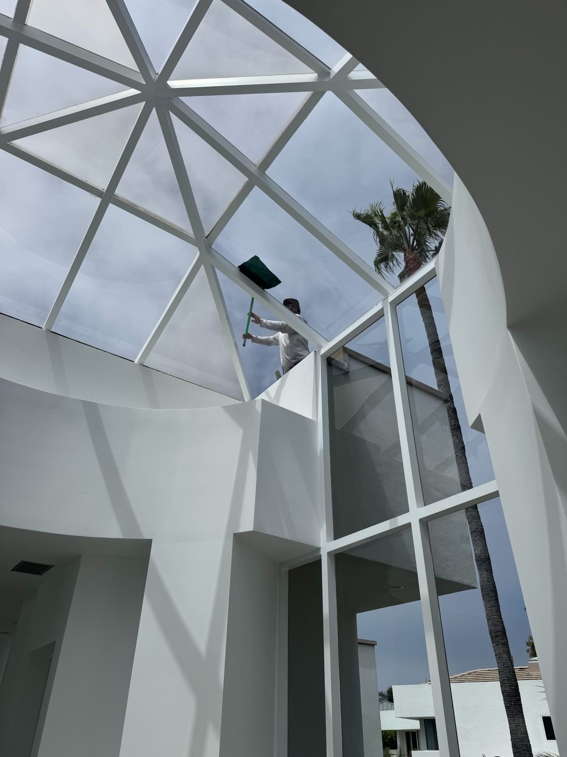 Modern white atrium with glass dome ceiling, tall windows, and a palm tree outside