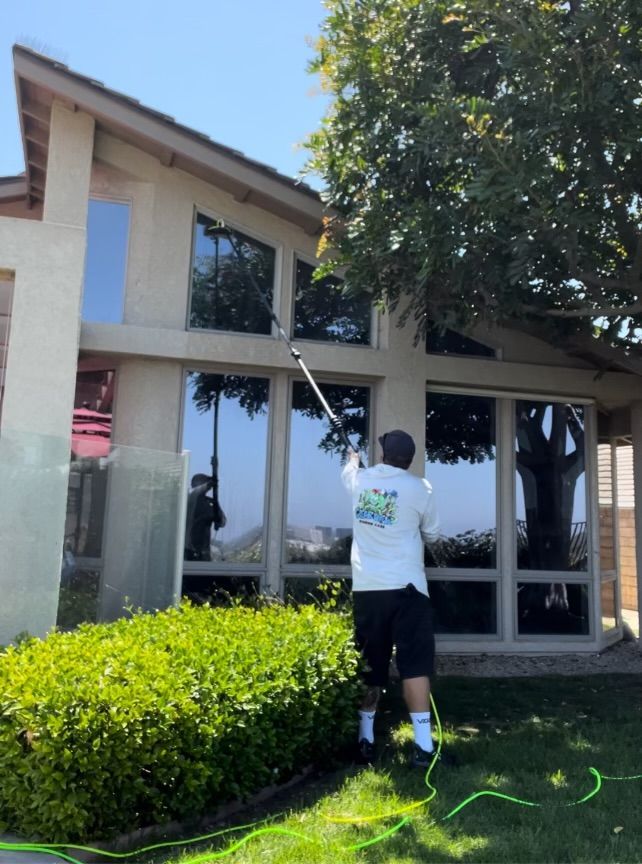 Person cleaning windows on a house exterior beside bushes and a tree.