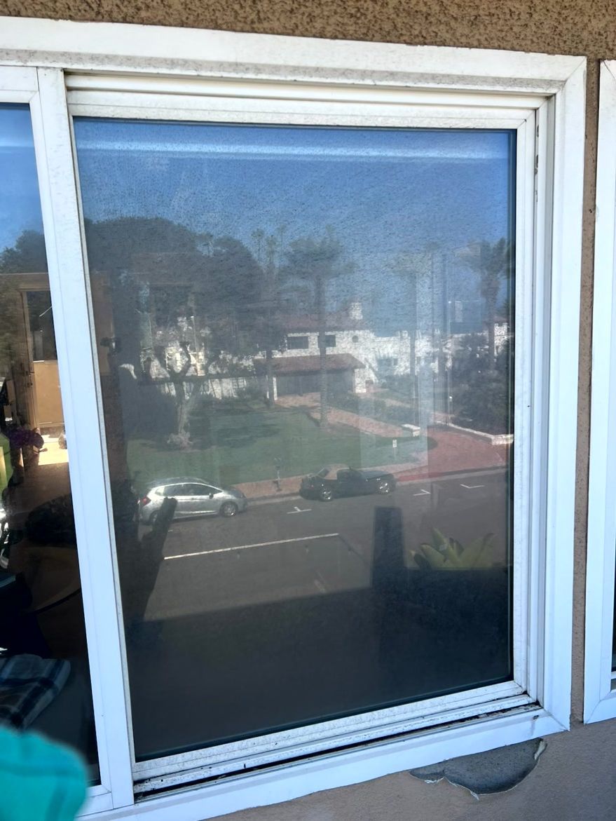 White-framed window reflecting a street, trees, and nearby buildings on a sunny day