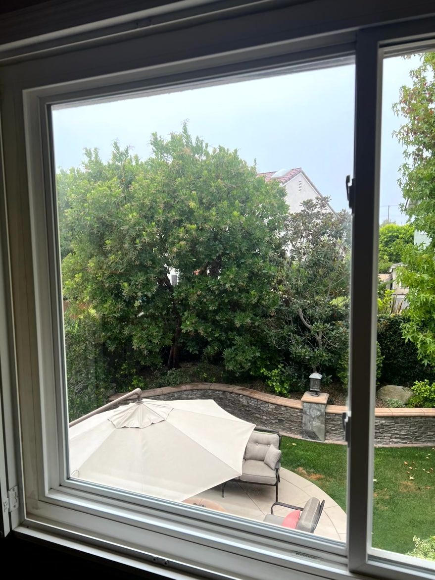 View through a window of a backyard with a large tree, patio umbrella, and grass.