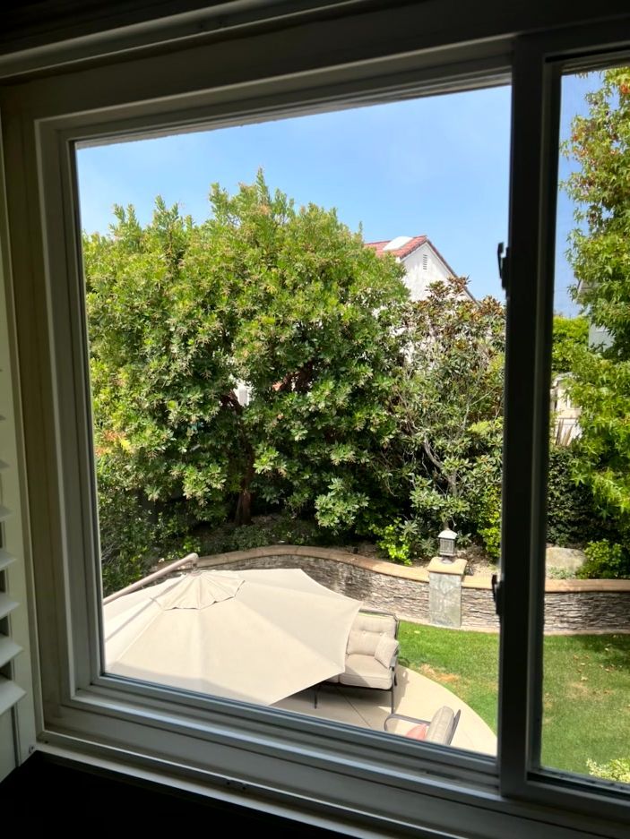 View through a window of a backyard with a large green tree, patio umbrella, and brick wall under blue sky