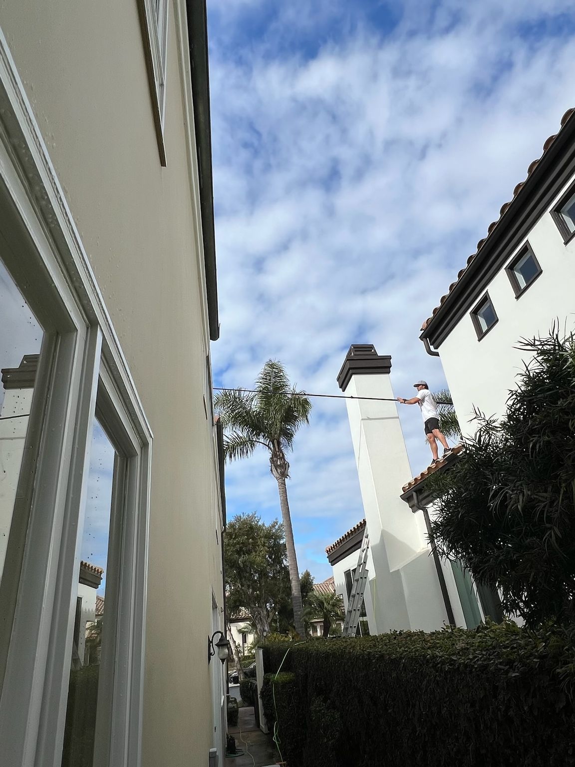 Narrow outdoor walkway between white buildings, with hedges, palm tree, and blue sky.