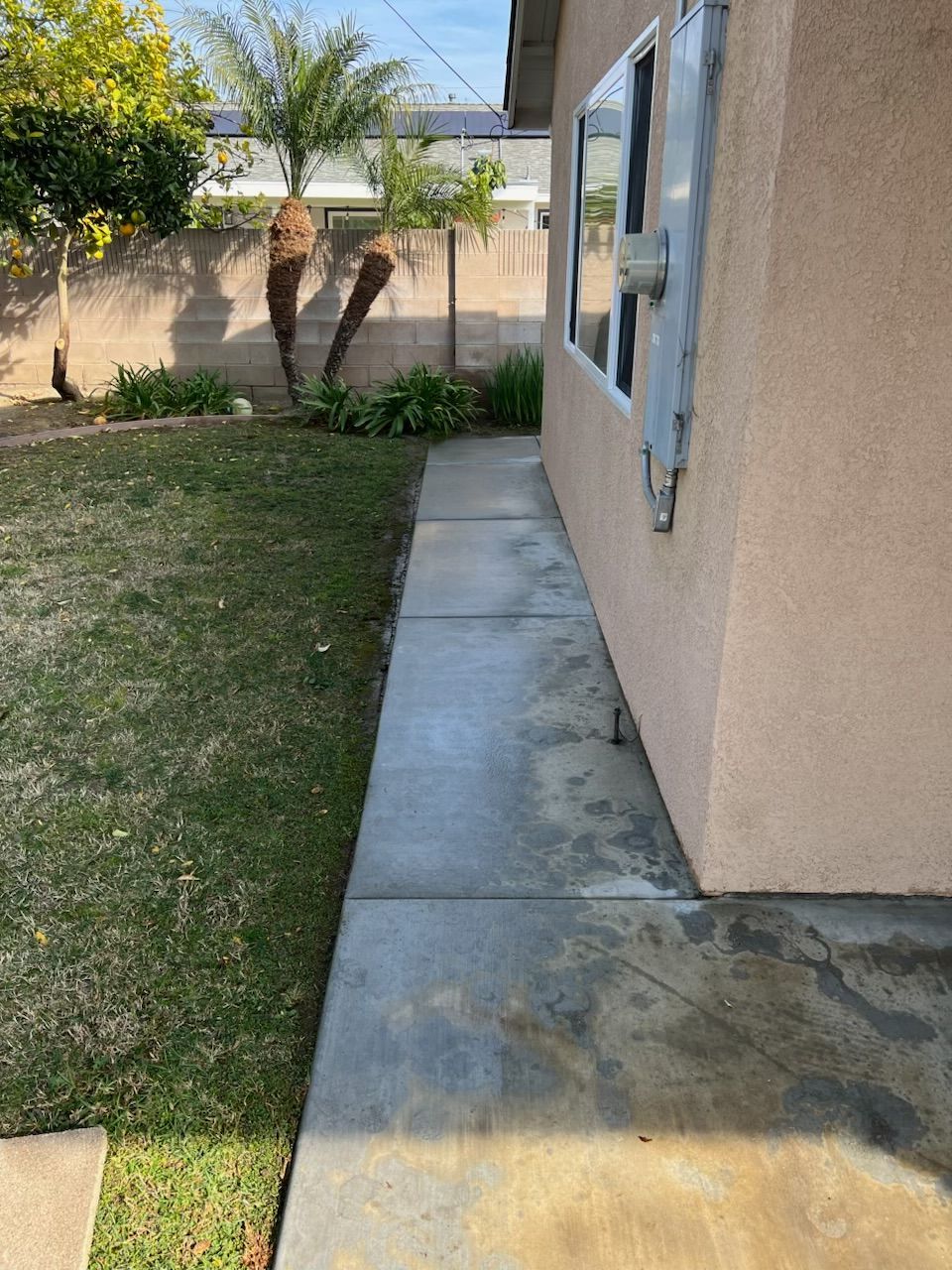 Side yard with concrete walkway beside a beige house, bordered by grass, trees, and a stucco wall.