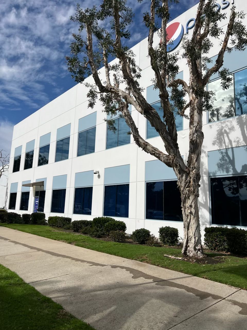White office building with blue windows, a Pepsi sign, and trees along the sidewalk under a blue sky