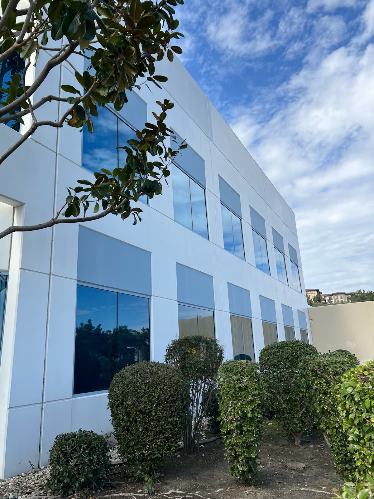 Modern white-and-blue office building with reflective windows and trimmed shrubs in front