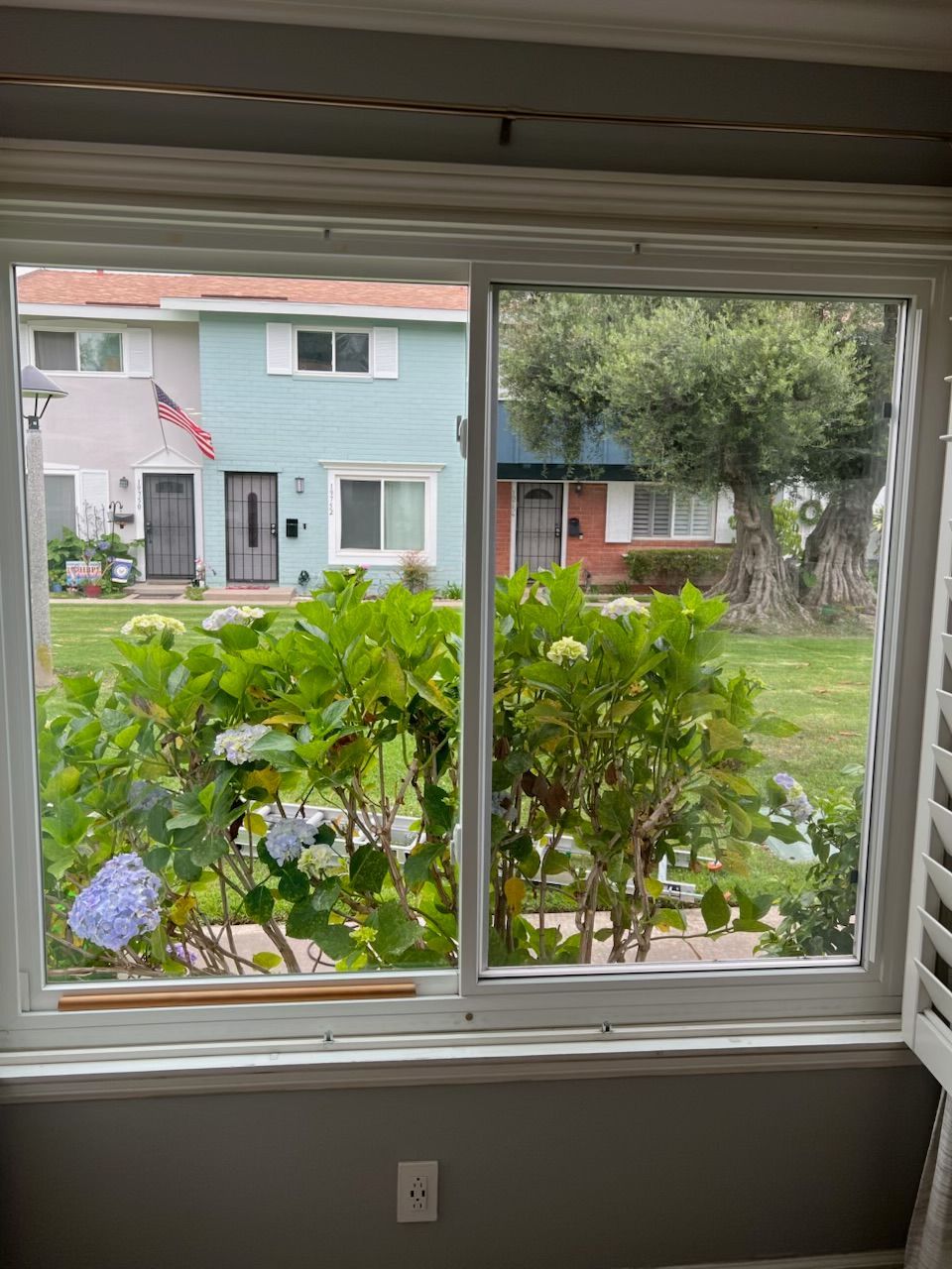 View through a window of a green front yard and pastel houses across the street