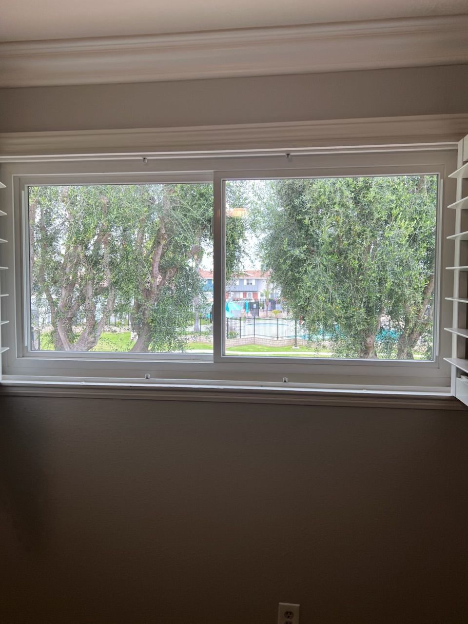 Indoor view through a large window of trees and a distant street scene