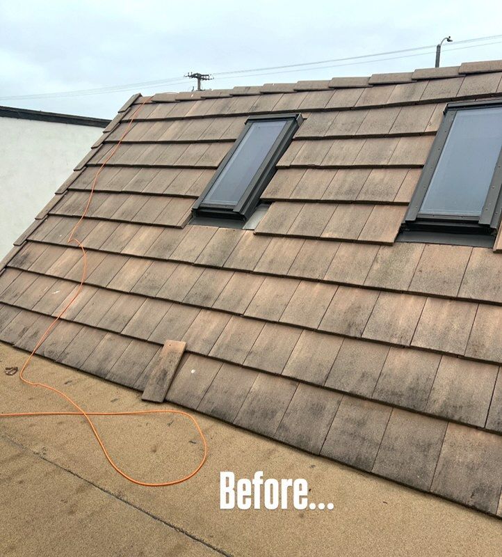 Weathered shingle roof with two skylights, labeled “Before...”