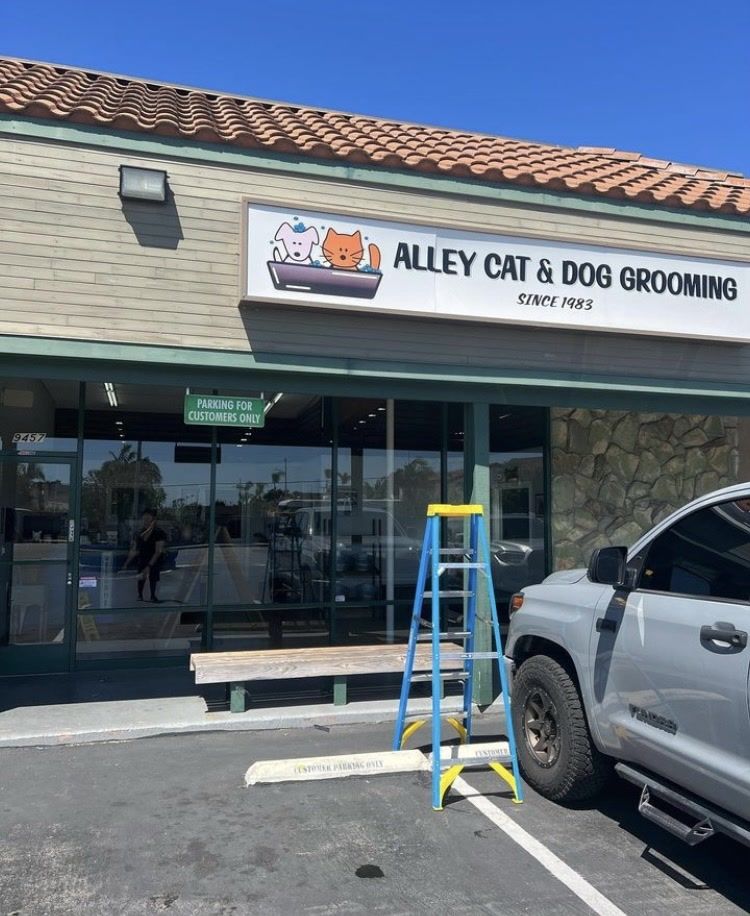 Storefront sign for Alley Cat & Dog Grooming with a silver truck parked outside and a blue step ladder in front