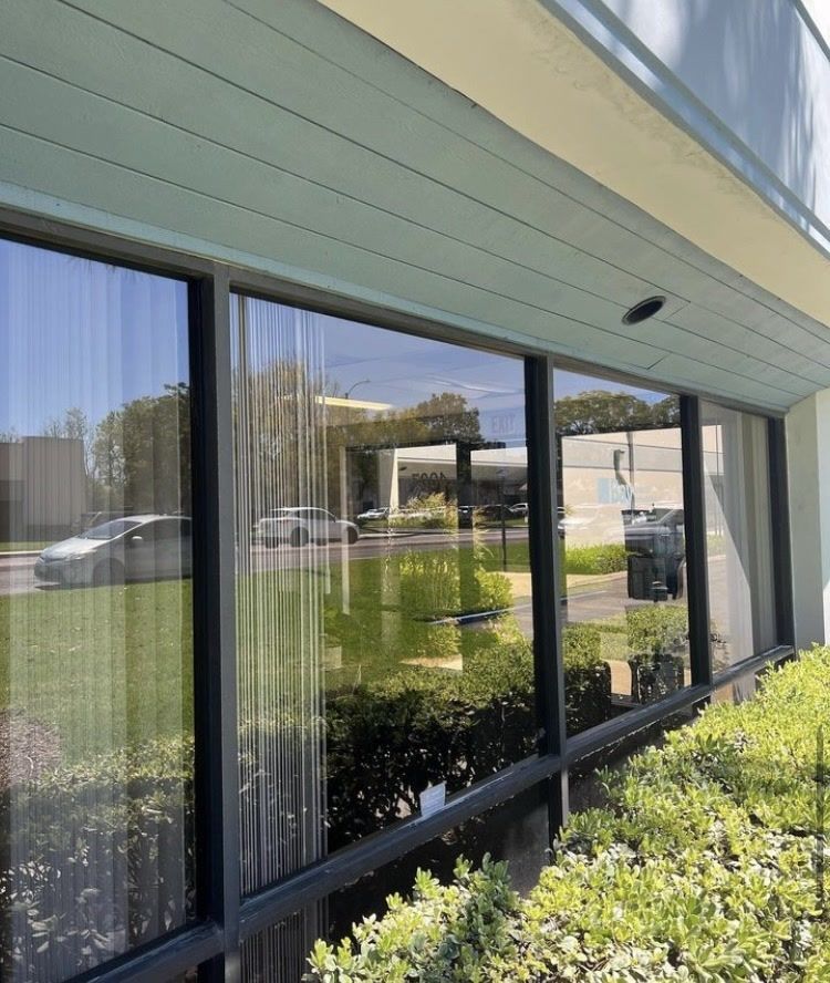 Reflective office windows beside a landscaped walkway with shrubs and a parking lot