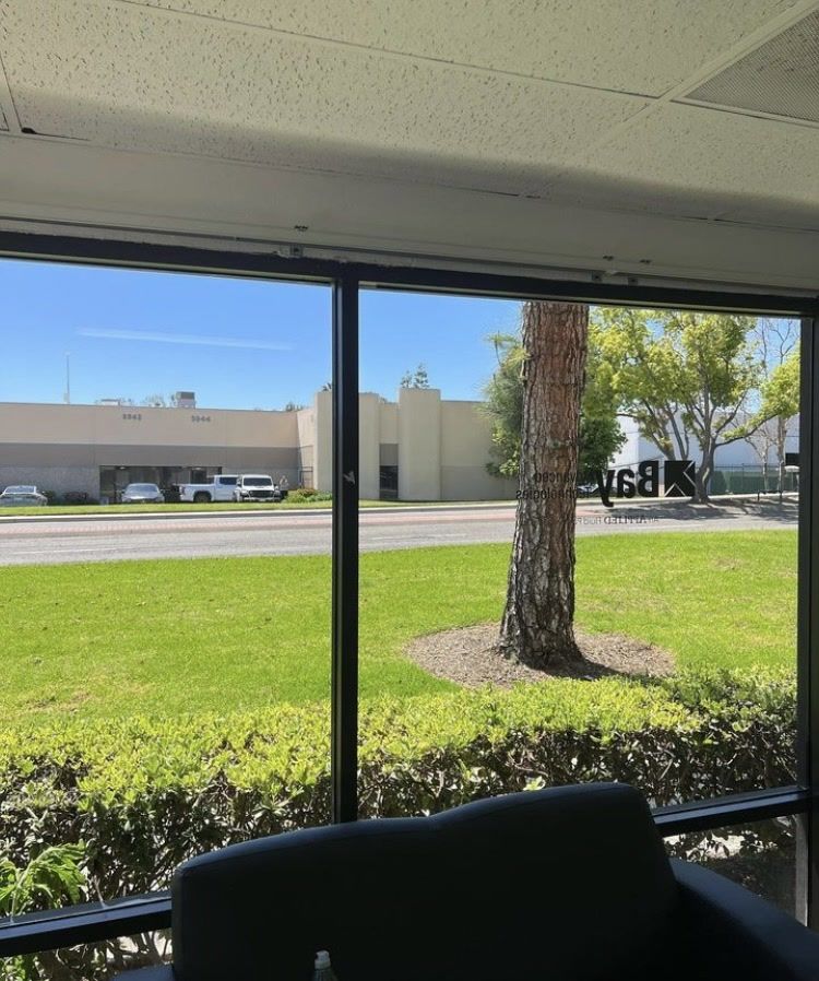 Office view through a window of a grassy lawn, palm tree, and beige buildings on a sunny day