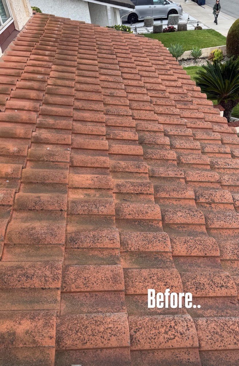 Red clay roof tiles covered in moss, labeled “Before.”