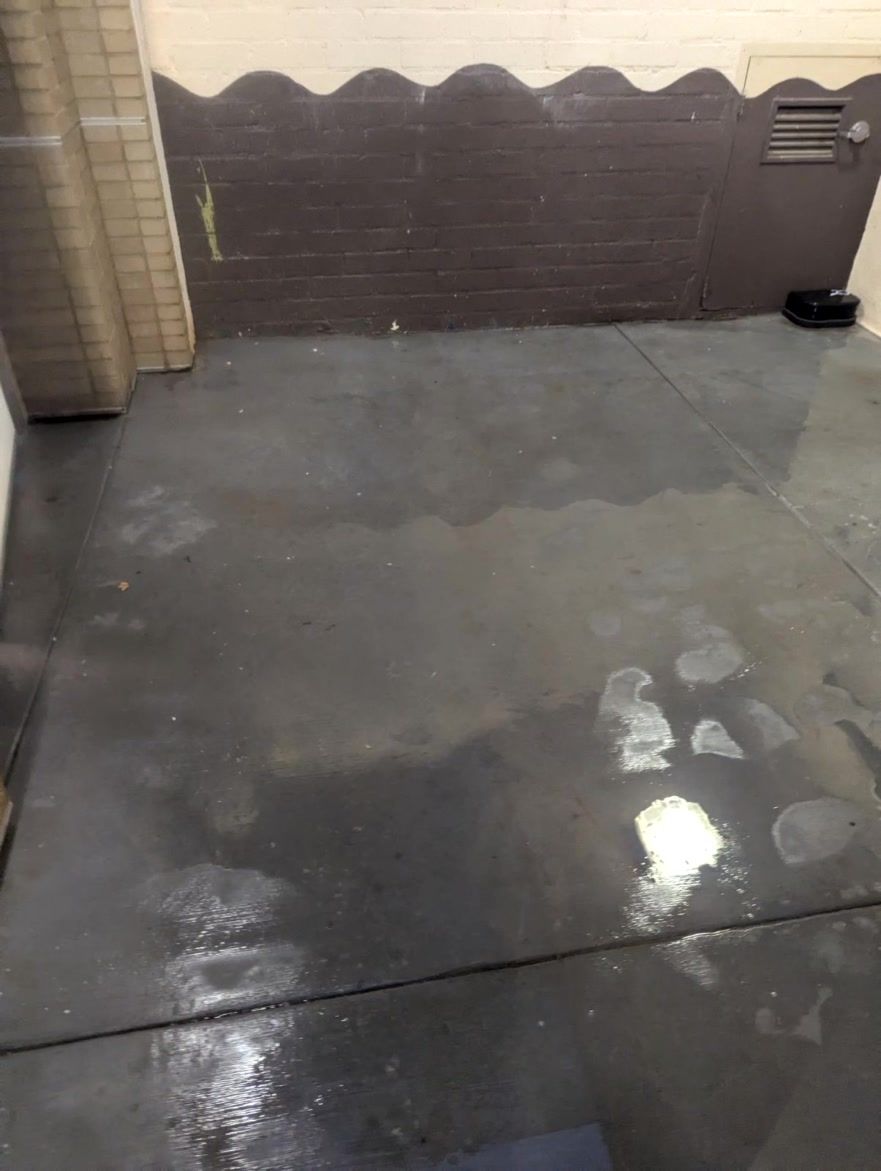 Wet concrete floor in a small courtyard with a dark wall and doorway.