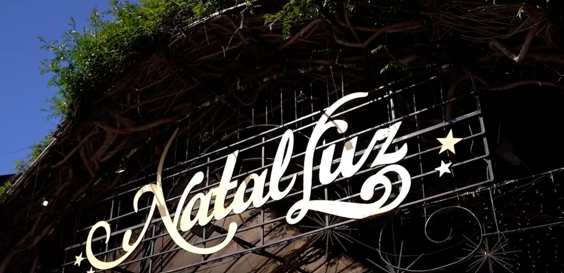 Placa cursiva branca com a palavra “Natal luz” e estrelas sobre uma grade de arame escuro, emoldurada por folhagem verde.