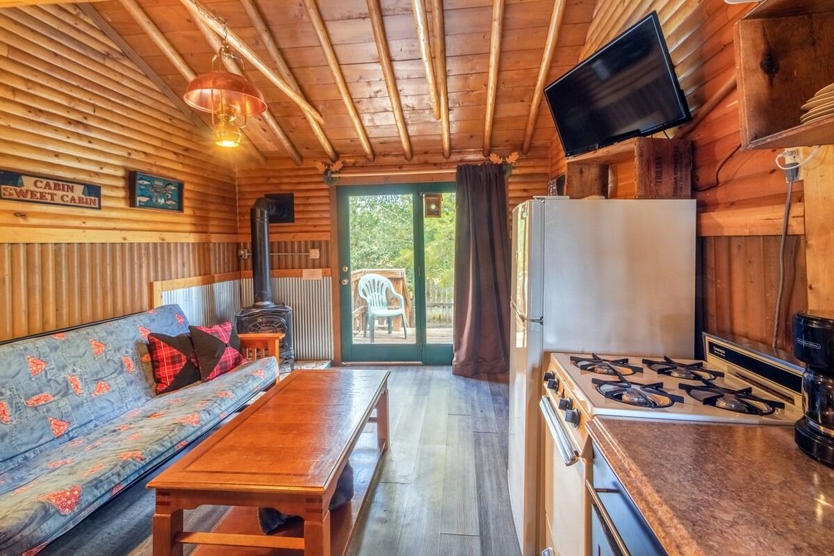 Cozy wood-paneled cabin interior with a sofa, coffee table, kitchenette, and glass doors to the outside