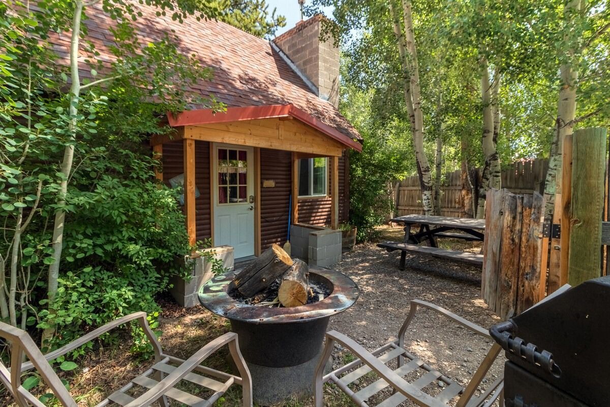 Small rustic cabin in a wooded backyard with a fire pit, picnic table, and chairs under trees.