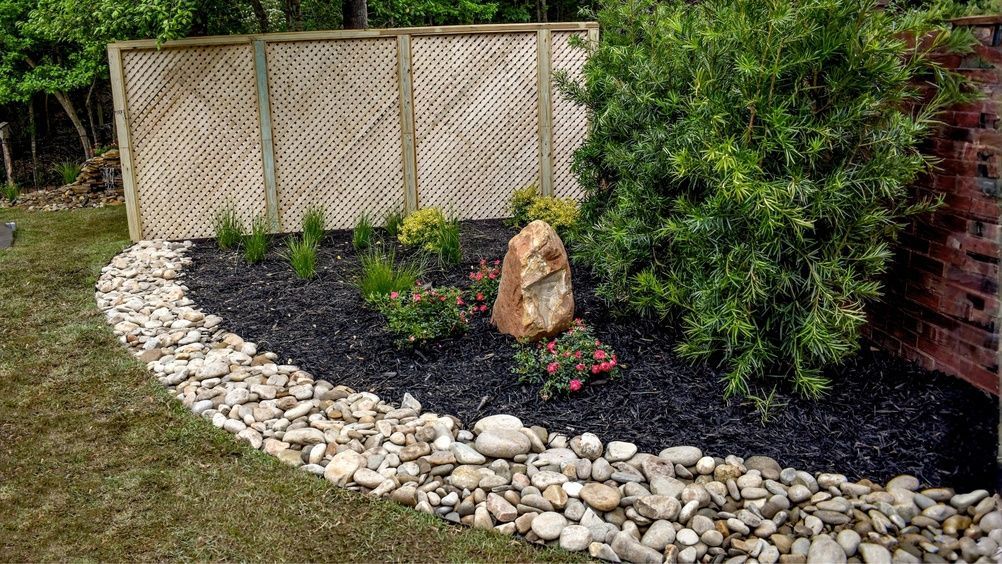 Landscaped garden bed with white stone border, black mulch, shrubs, and a decorative rock near a fence.