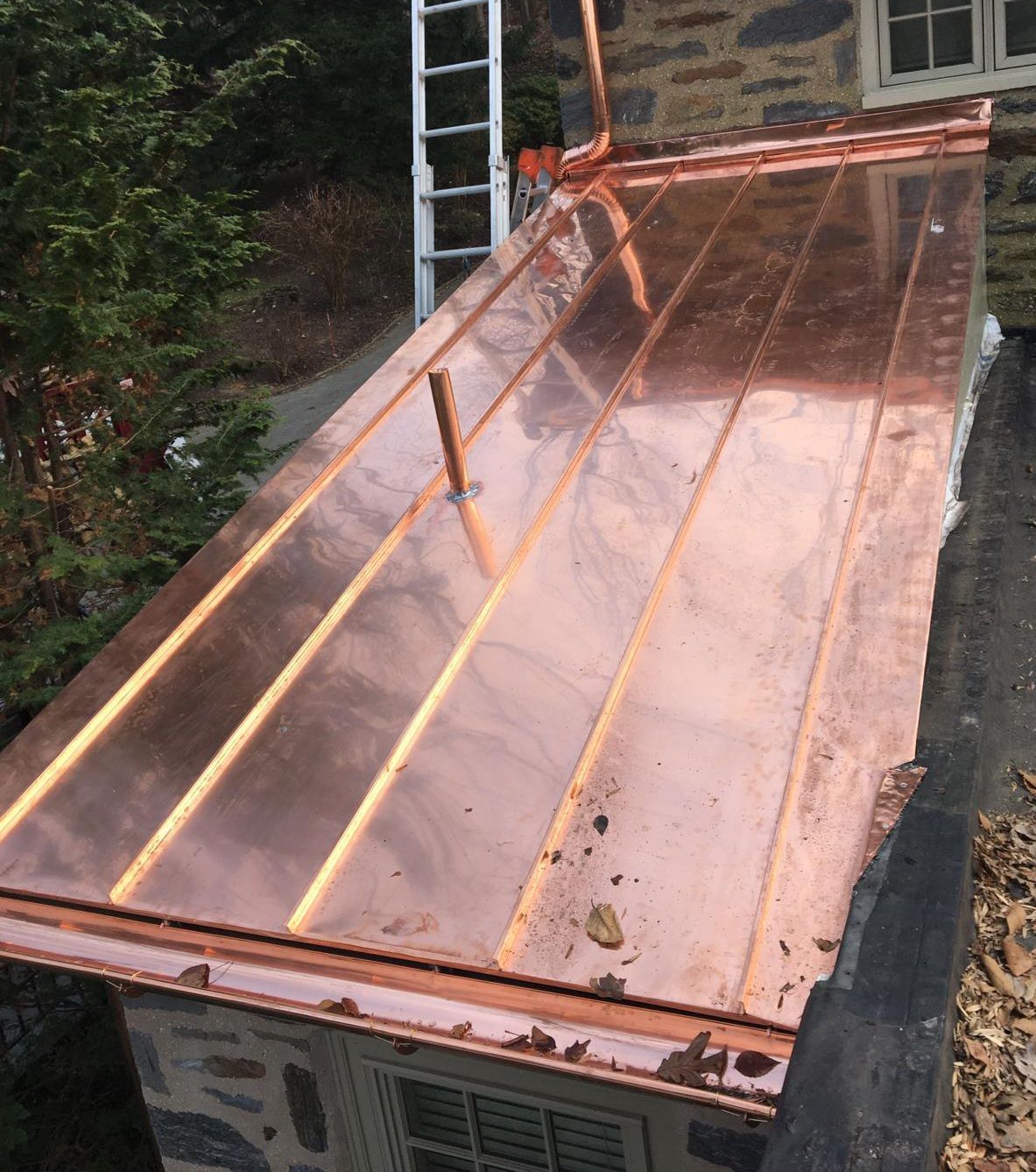 A copper roof with a ladder in the background