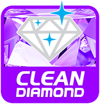 Diamond Clean - Diamond Shine Car Wash specialty car wash products