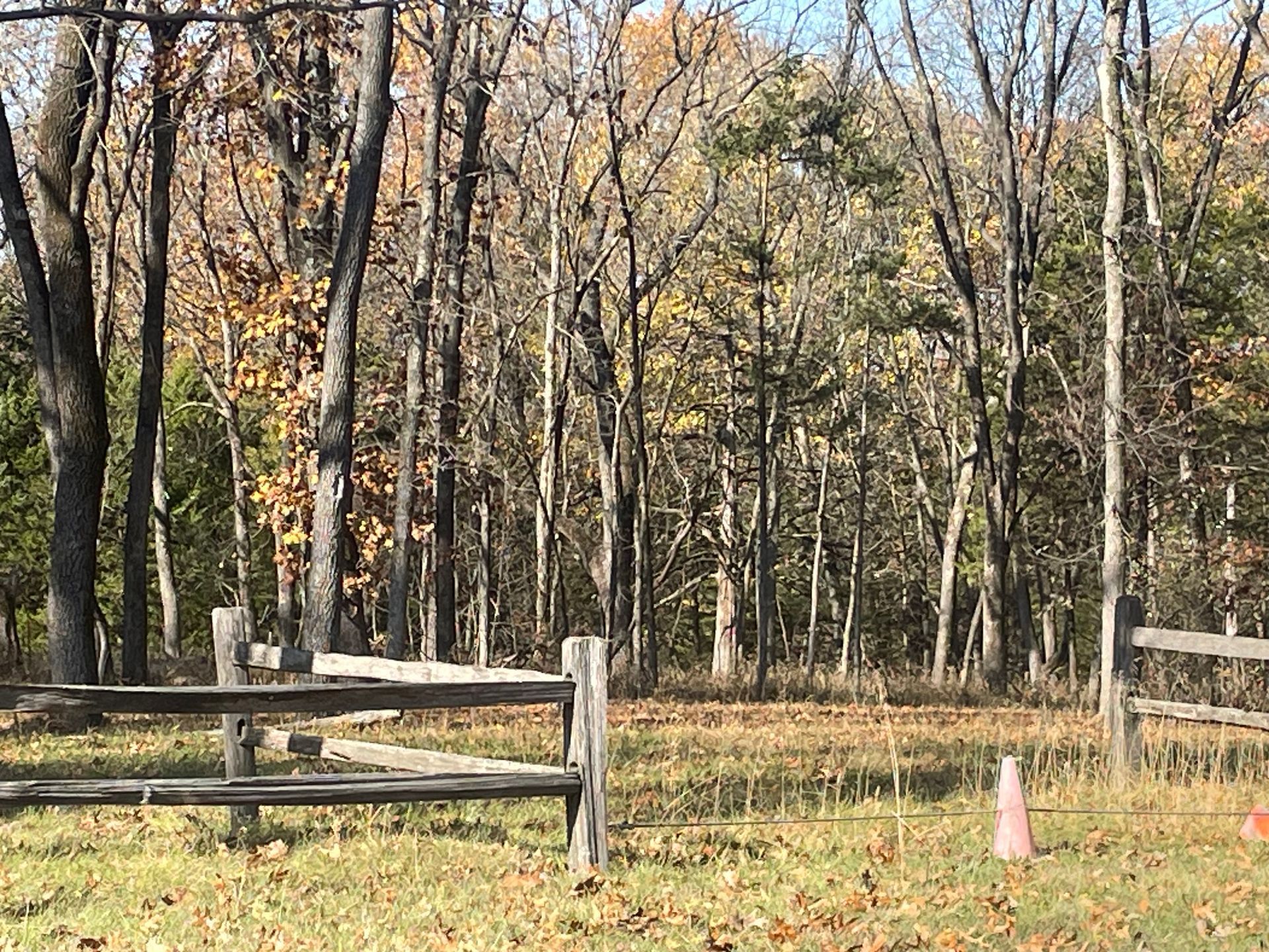 A wooden fence in a field with trees in the background.