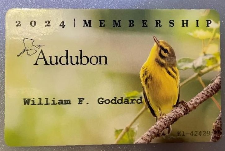 A membership card for audubon shows a yellow bird perched on a branch