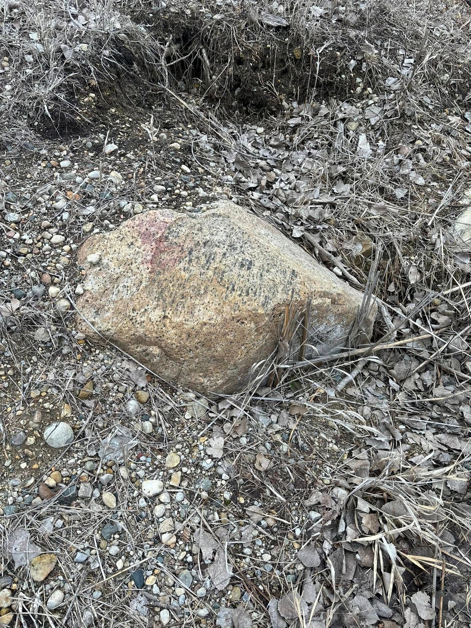Large, speckled rock on ground covered with small stones, and dry leaves.