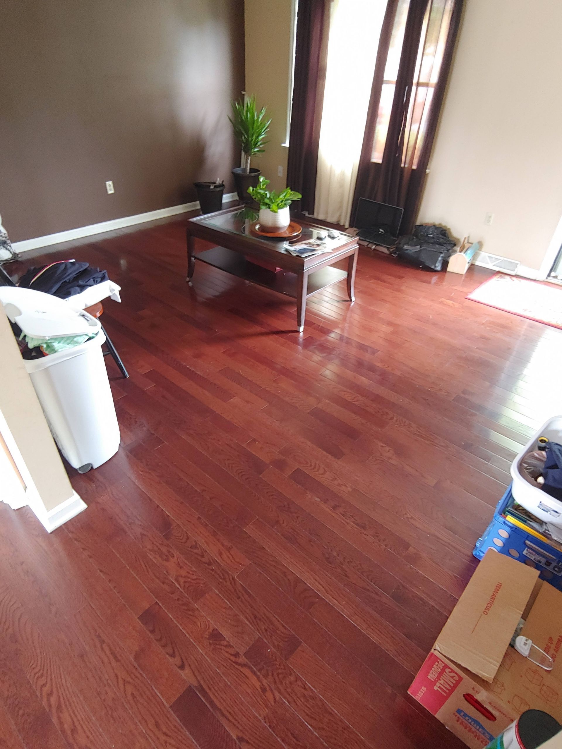 A living room with dark hardwood floors, a brown coffee table, two potted plants, and cardboard boxes on the right.