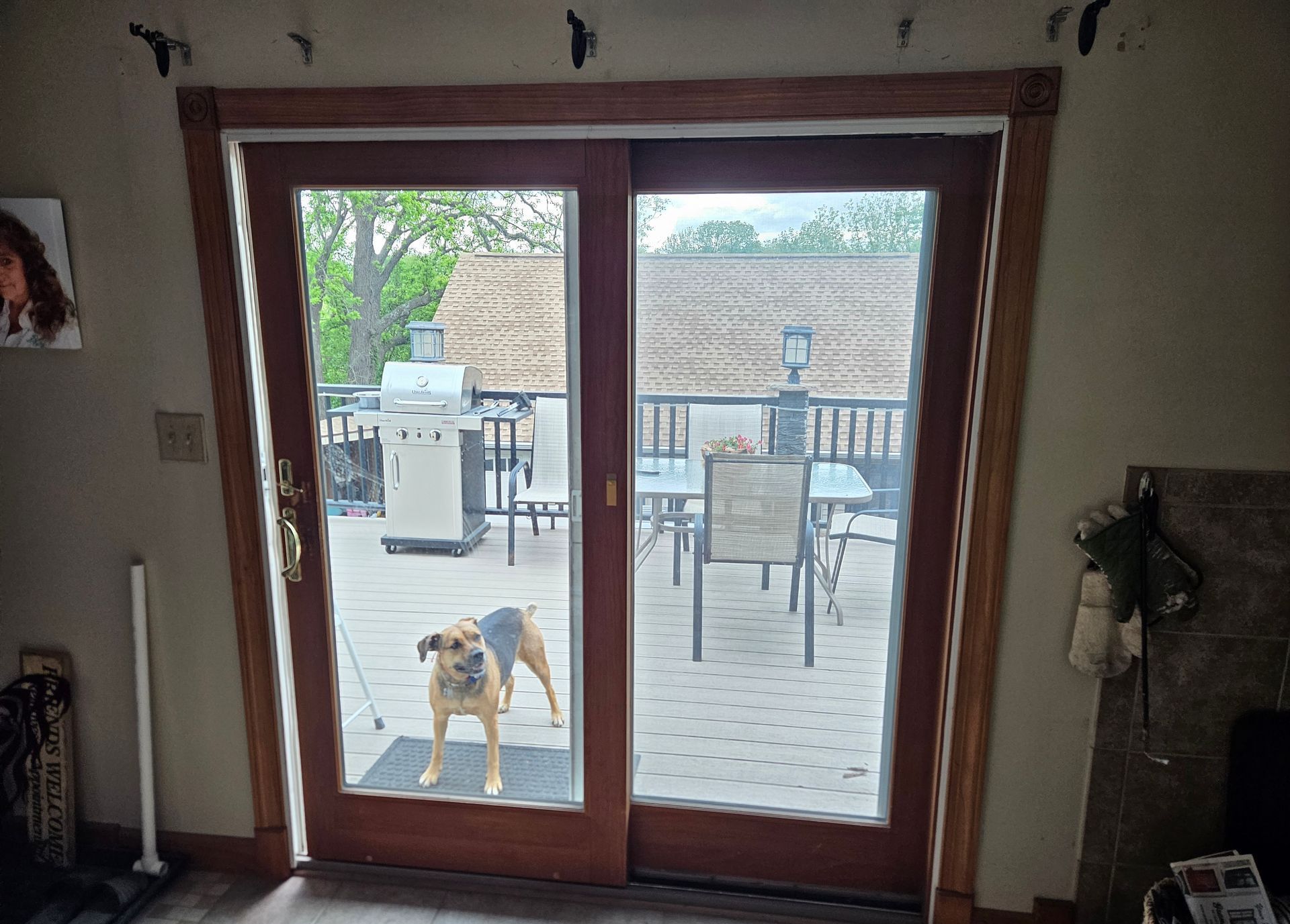 A tan and black dog stands on a deck, looking through glass sliding doors into a house.