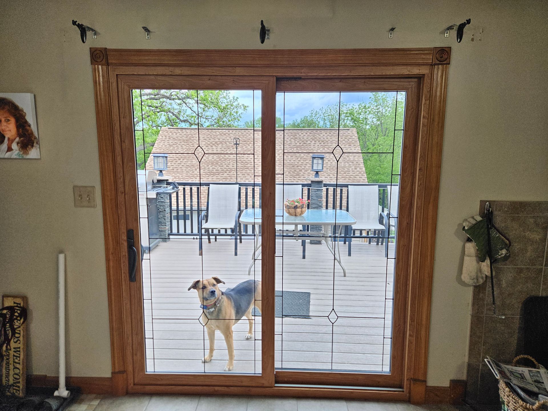 A medium-sized dog standing on a deck, viewed through a large sliding glass door with a wood frame.