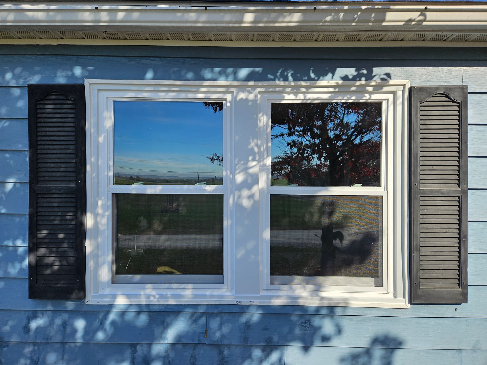 A double-hung white window with dark shutters on blue siding, reflecting a tree and sky in the glass.