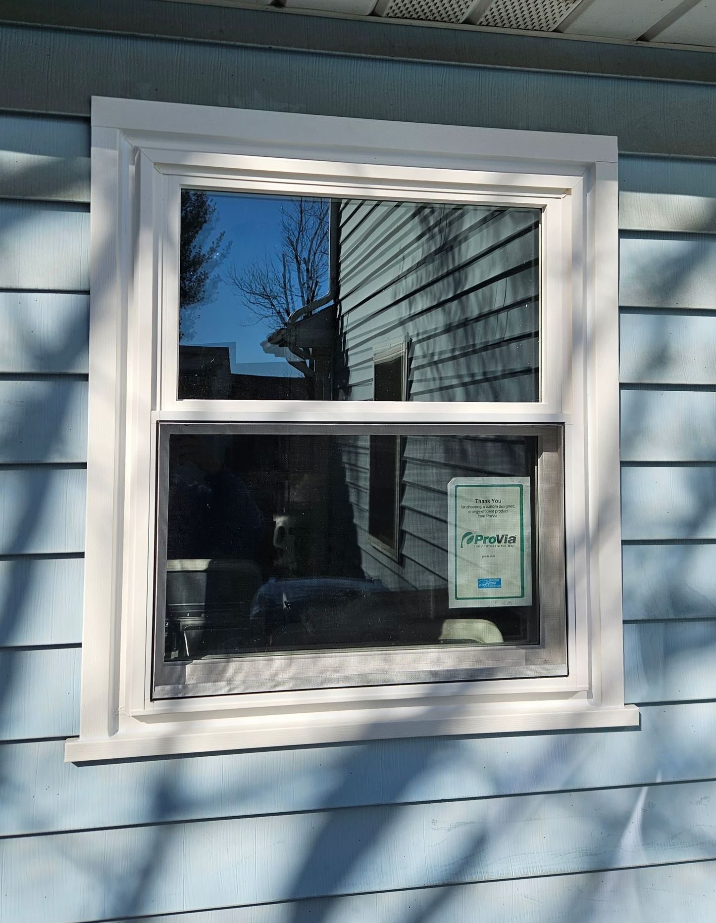 A white-framed window on a light blue siding wall, with a small sign visible through the glass.
