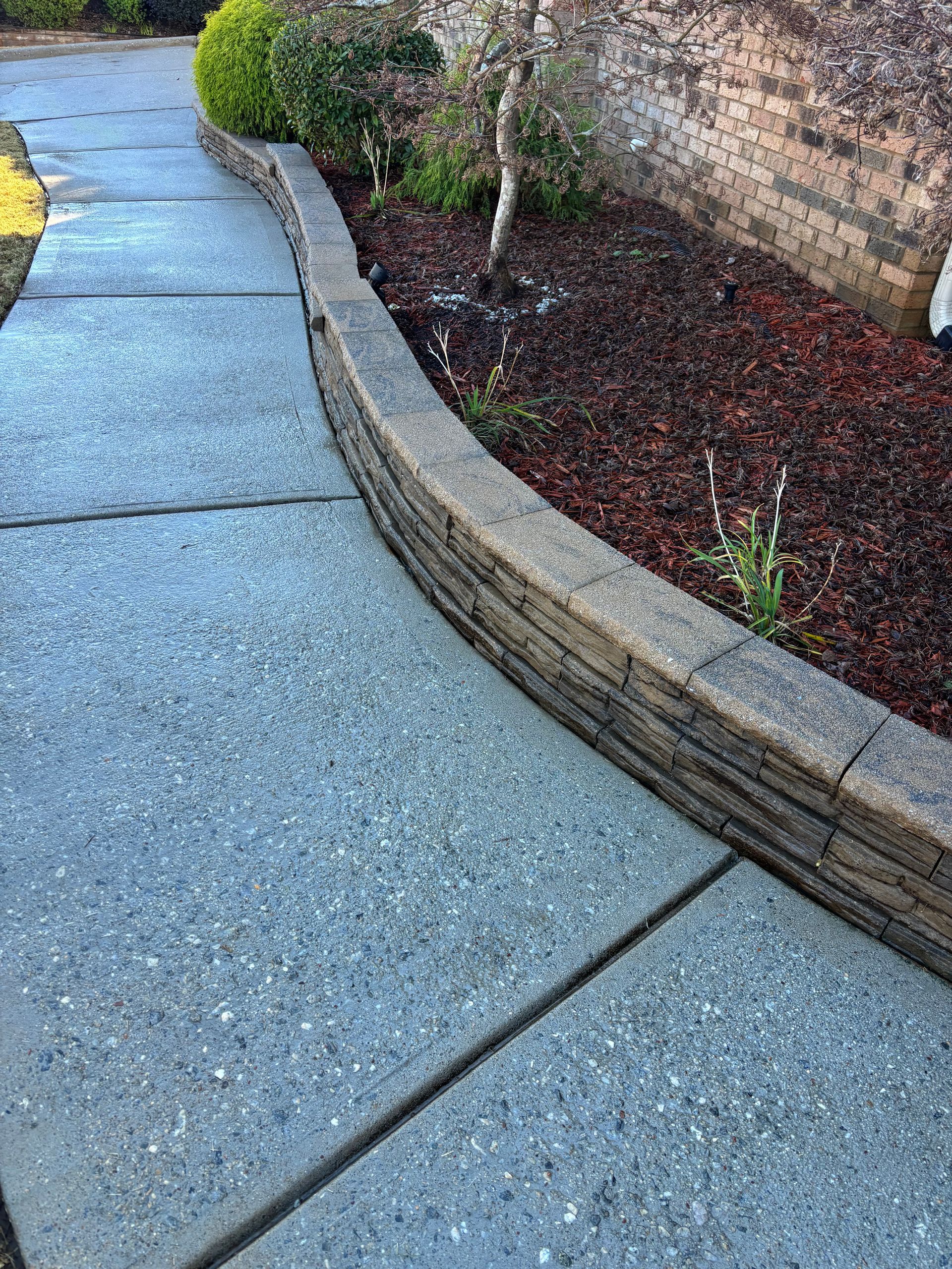 Concrete walkway with a low retaining wall separating it from a garden bed with mulch and plants.