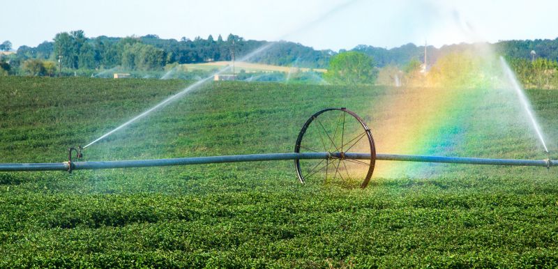 irrigation