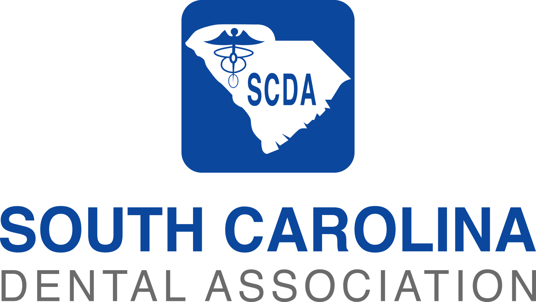 The logo for the south carolina dental association is blue and white.