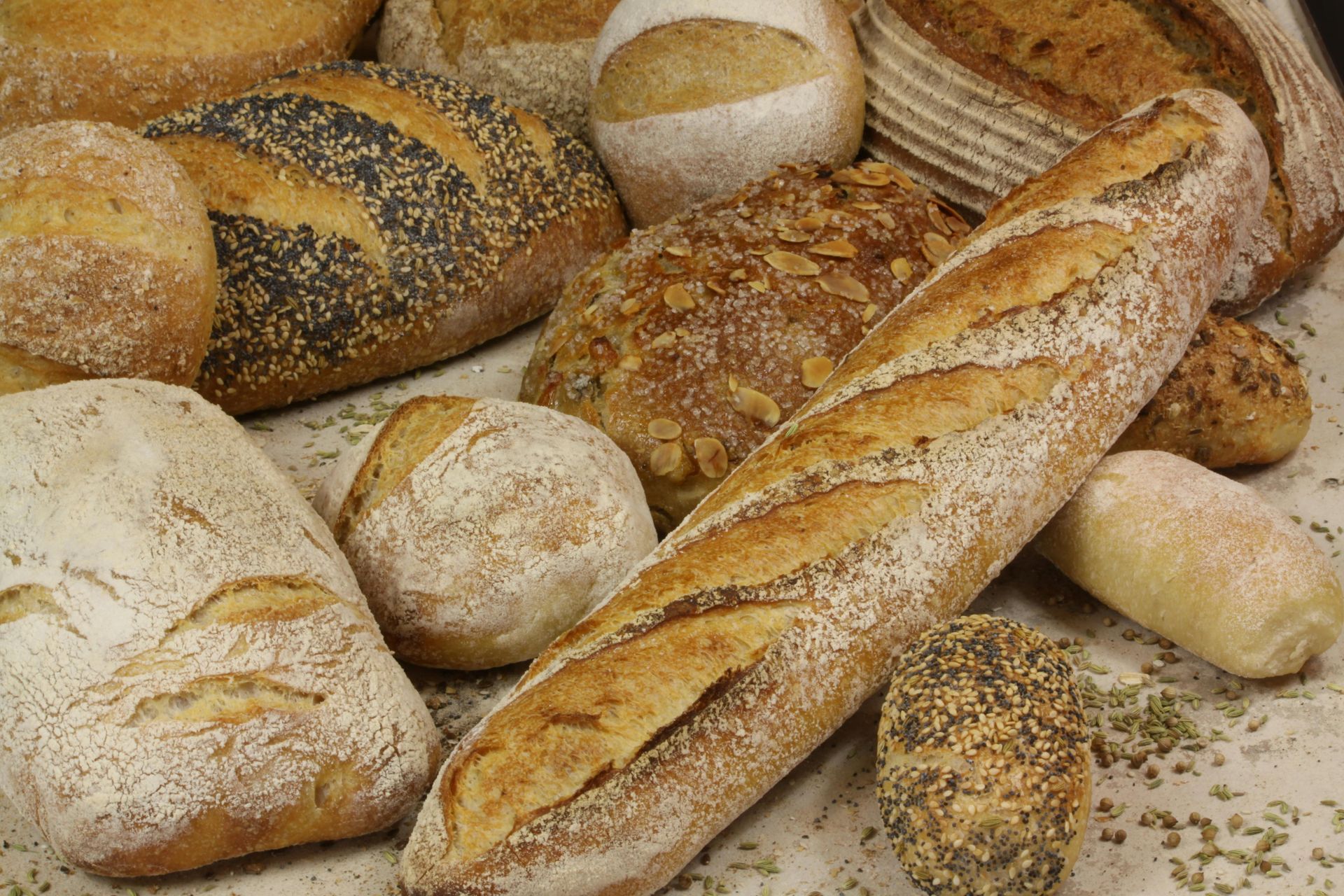 An assortment of various freshly baked crusty breads and rolls arranged on a light surface.