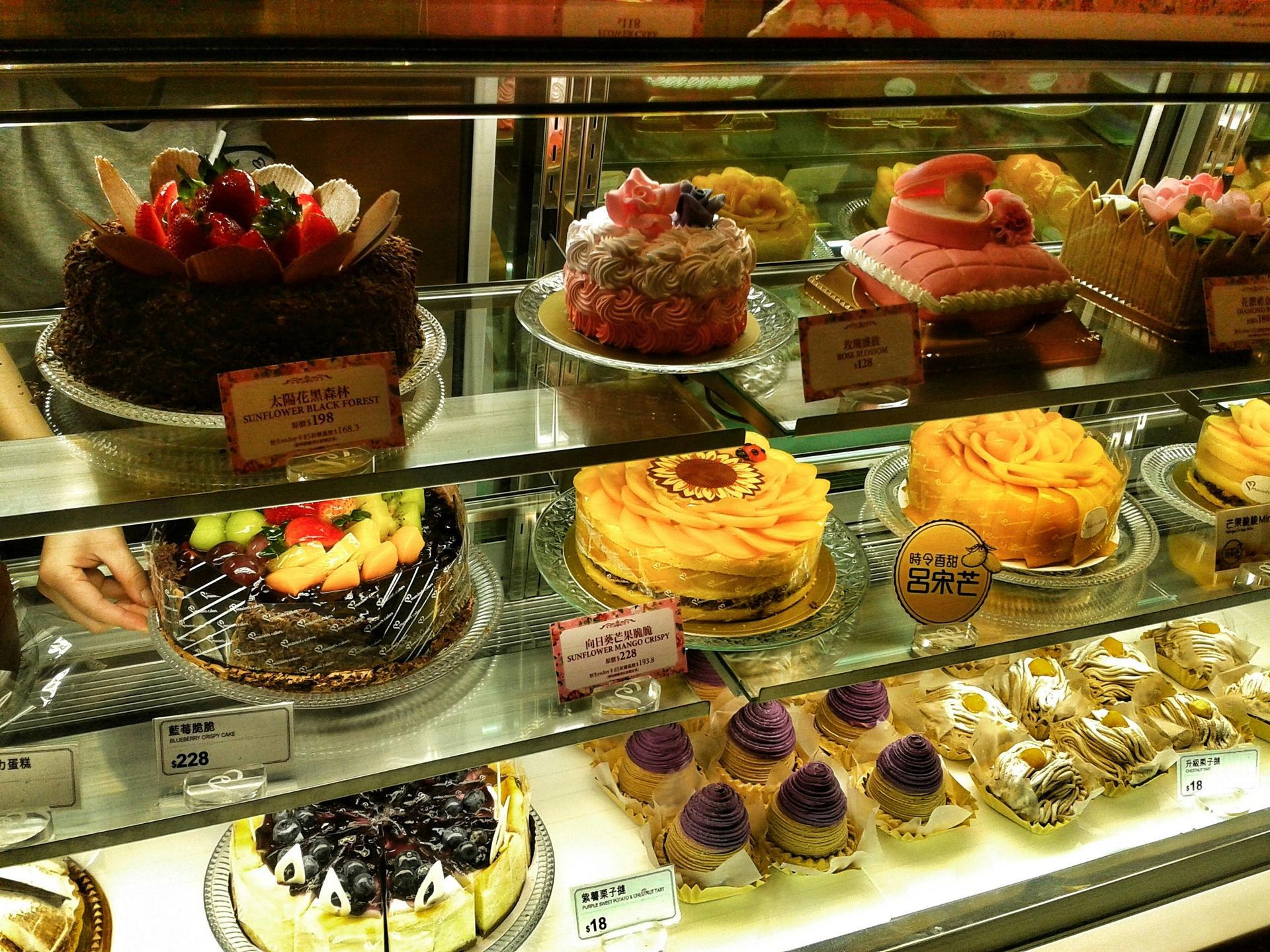 A display case in a bakery filled with various decorated cakes, including fruit-topped, chocolate, and individual pastries.