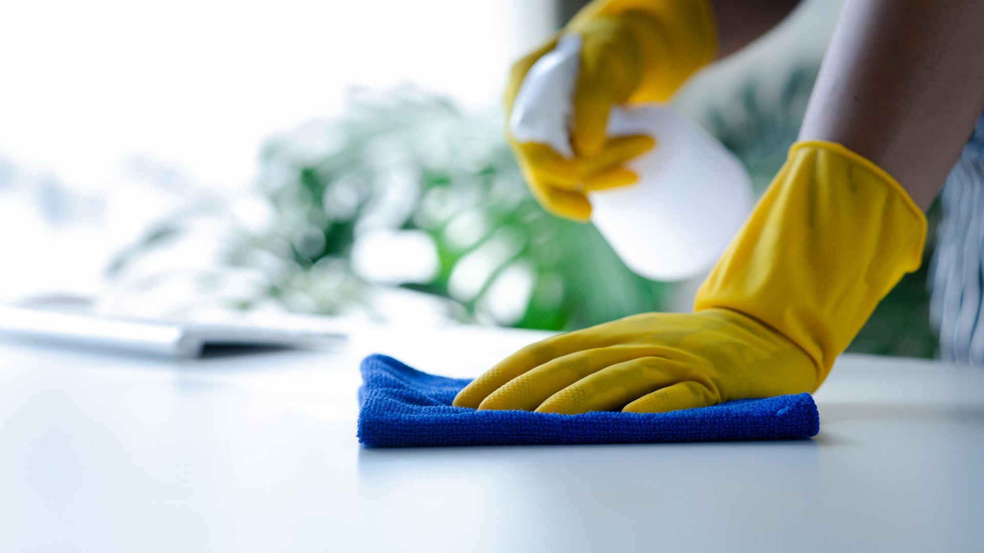 Hands in yellow gloves cleaning a white surface with a blue cloth and spray bottle.
