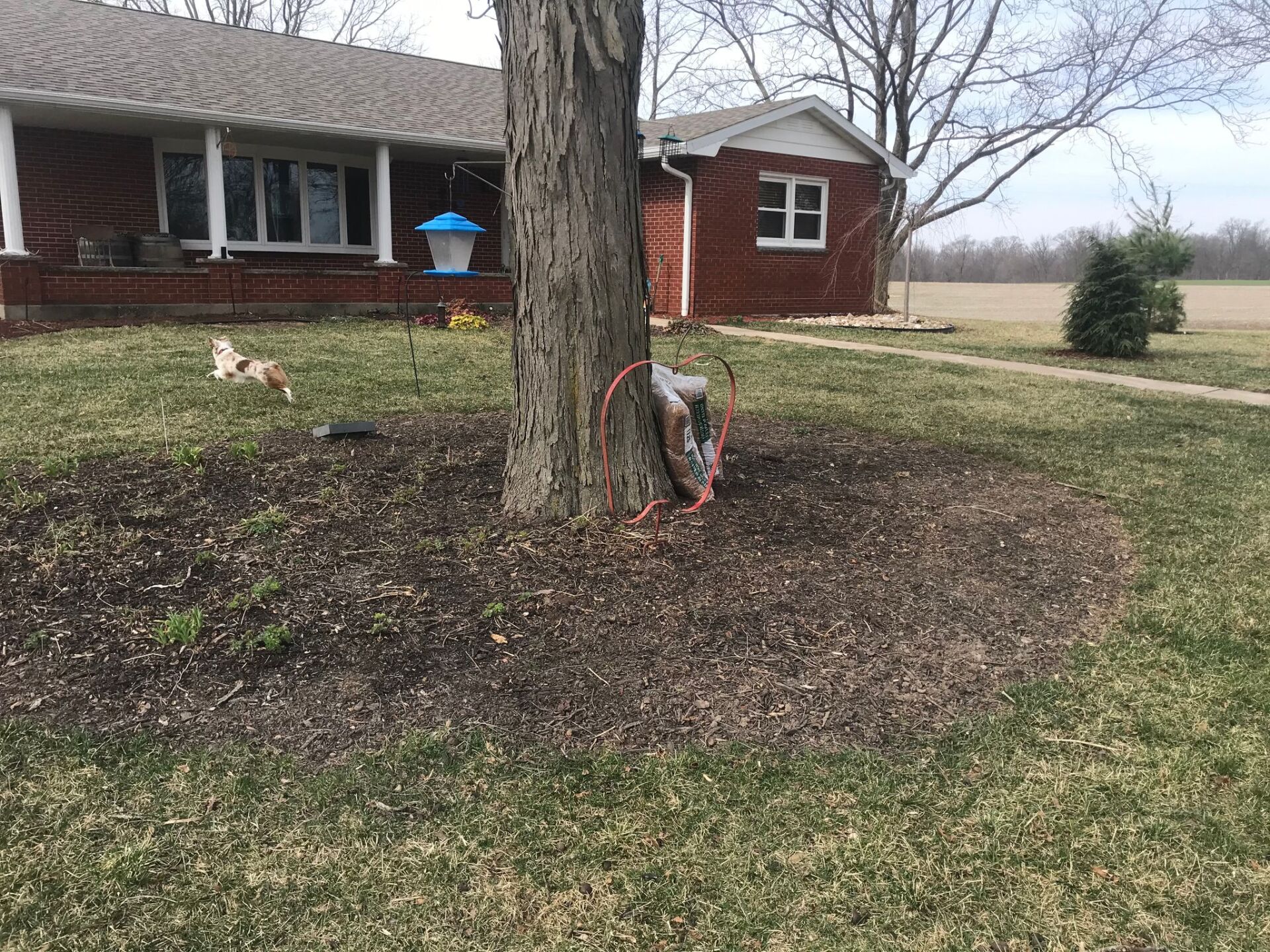 Gallery Kramer Land Care Inc.