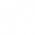 Bug Icon